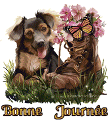 Gif bonne journée chien
